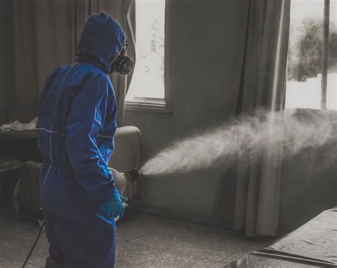 disinfecting fogging technique